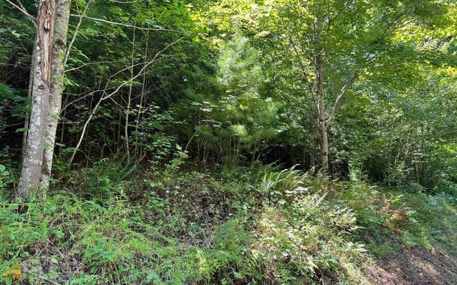 LOT 69 Fires Creek Cove, Hayesville, NC 28904