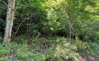 LOT 69 Fires Creek Cove, Hayesville, NC 28904