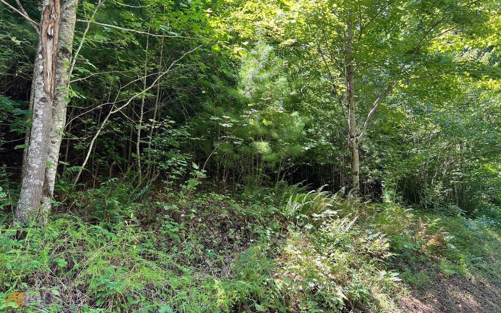 LOT 69 Fires Creek Cove, Hayesville, NC 28904