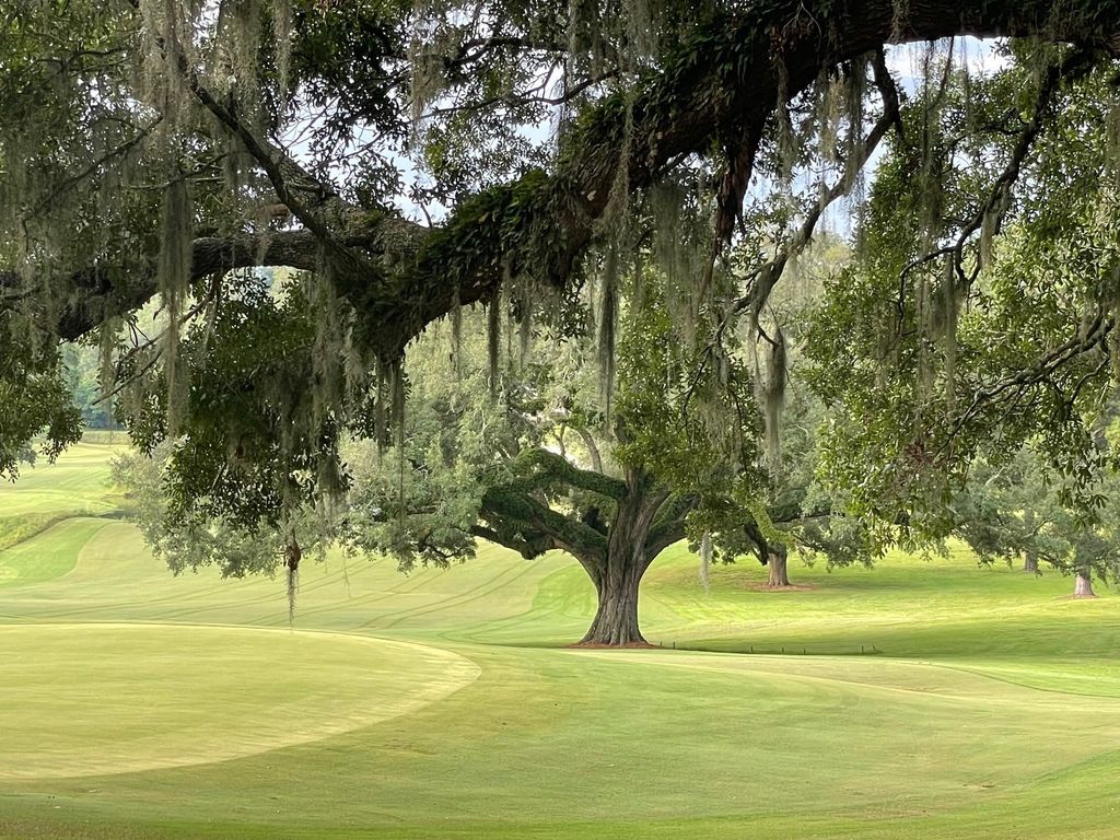 Lot 2 Edenderry Drive, Tallahassee, FL 32309