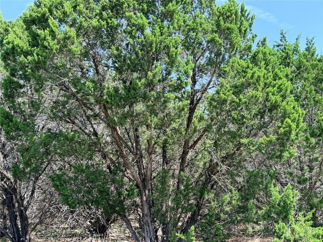 250 Oak Knob, Wimberley, TX 78676