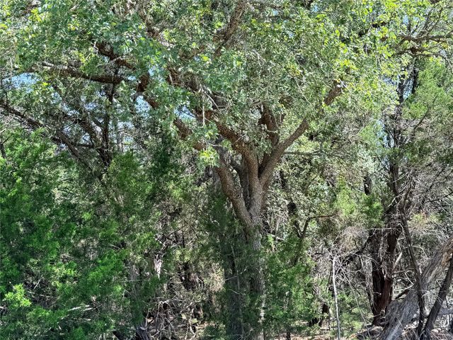 250 Oak Knob, Wimberley, TX 78676