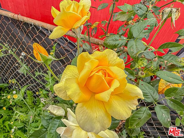 1765 E 113th Street, Los Angeles, CA 90059