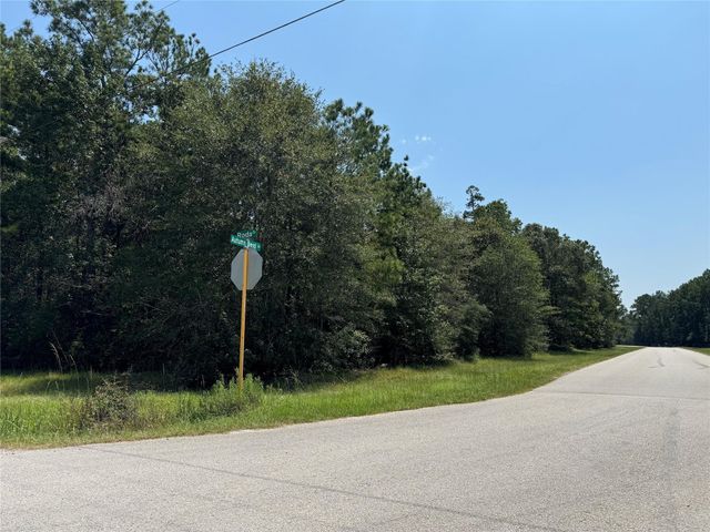 TBD Roda, Conroe, TX 77303