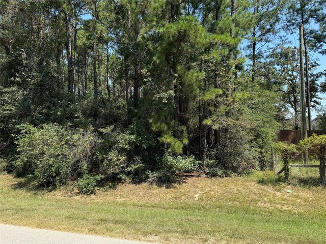 TBD Roda, Conroe, TX 77303