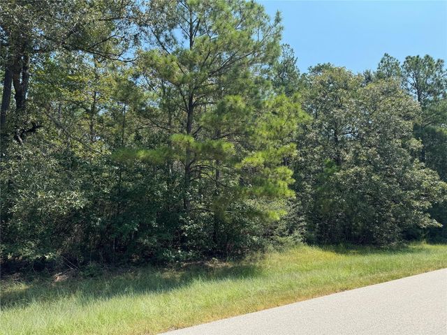 TBD Roda, Conroe, TX 77303