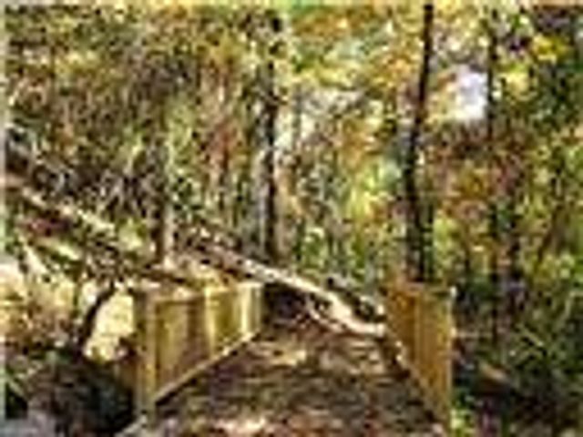 114 Eagle Heart Court, Waleska, GA 30183