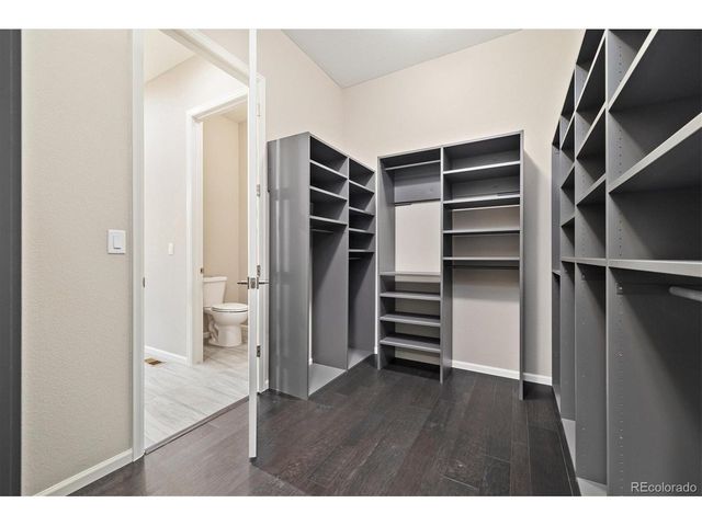 6725 Mentha Dr, Castle Rock, CO 80108