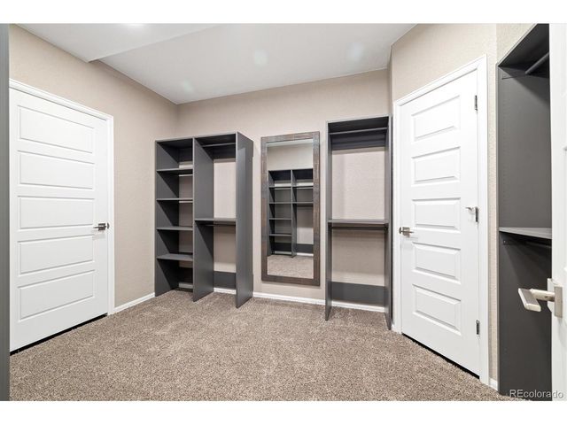 6725 Mentha Dr, Castle Rock, CO 80108