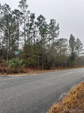 6692 N Airmont Drive, Dunnellon, FL 34433