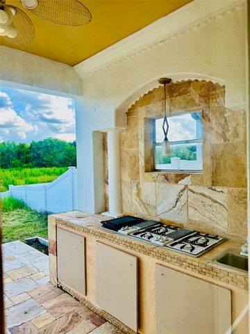 2904 TRINITY COTTAGE DRIVE, Land O Lakes, FL 34638