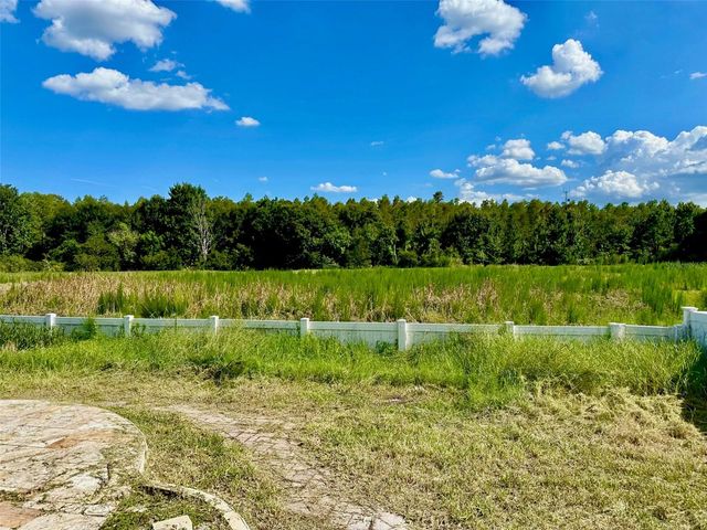 2904 TRINITY COTTAGE DRIVE, Land O Lakes, FL 34638