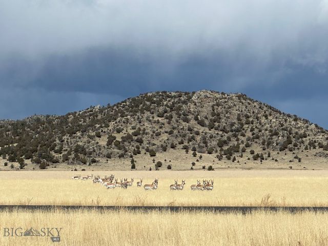 Lot 20 Sharon Rose Road, Ennis, MT 59729