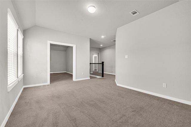 19723 Vino Vale Drive, Hockley, TX 77447