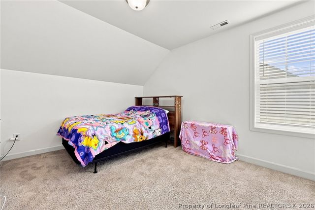96 Hungry Creek Drive, Erwin, NC 28339