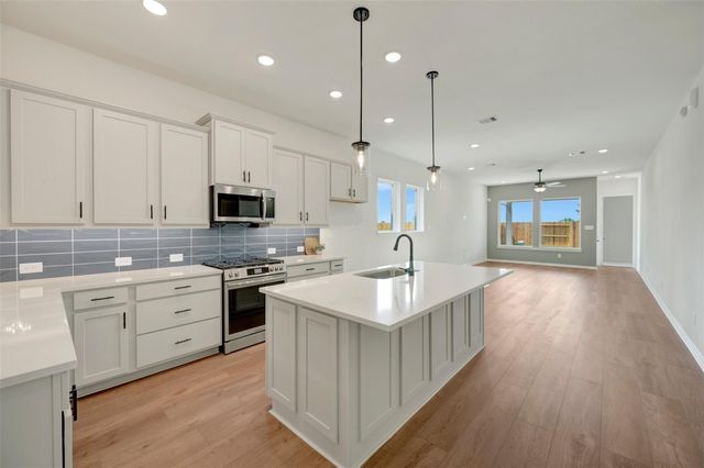 27222 Scarlet Paint Brush Drive, Hockley, TX 77447