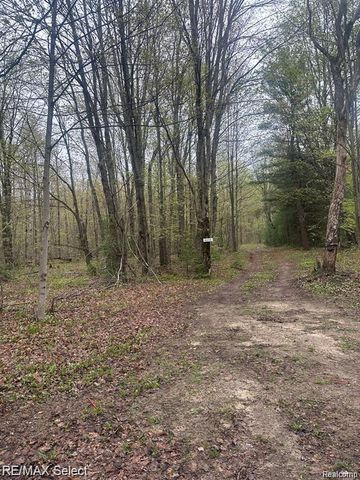 4747 Sunset Trail Ne, Coldsprings Township, MI 49646