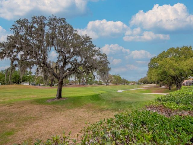 5201 SILVERADO WAY, Valrico, FL 33596