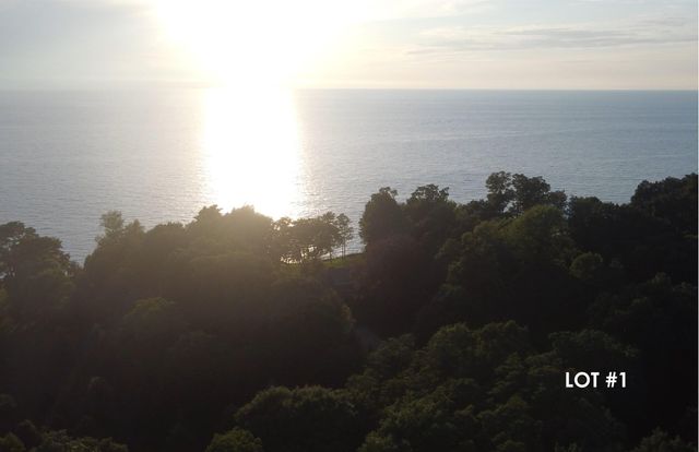 14606 Crest View Court, South Haven, MI 49090