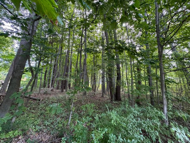 14606 Crest View Court, South Haven, MI 49090