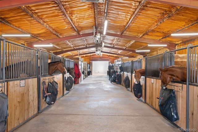 10547 Gillian Avenue, Franktown, CO 80116