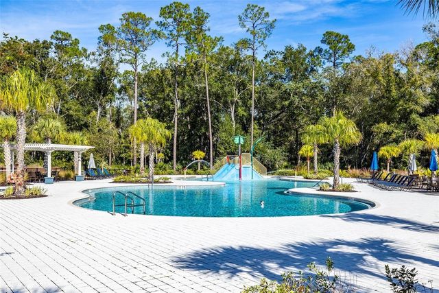 4124 REVIVAL LANE, Land O Lakes, FL 34638