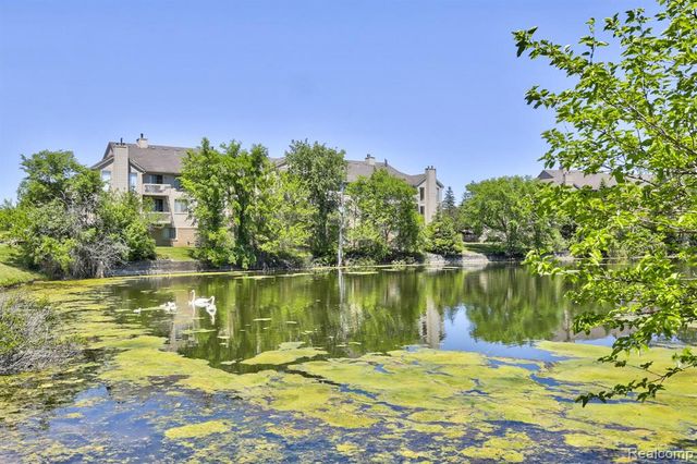 23440 Little Rapids Court 1801, Novi, MI 48375