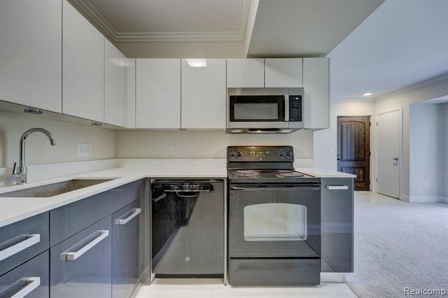 23440 Little Rapids Court 1801, Novi, MI 48375