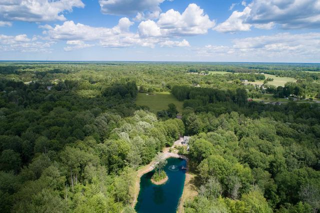 1365 E Shaffer Road, Hope, MI 48628