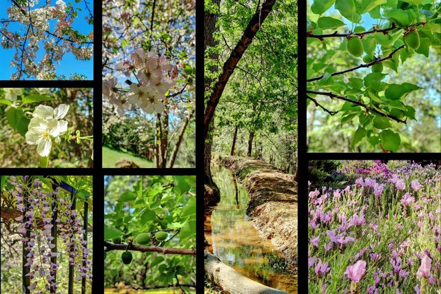 16804 Alice Way, Grass Valley, CA 95949