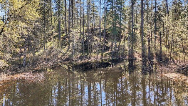 5882 Carey Rd, Tumtum, WA 99034