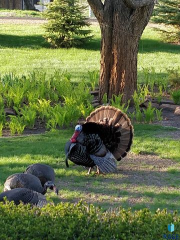 2908 N Oak Rd Road, Brandon, SD 57005