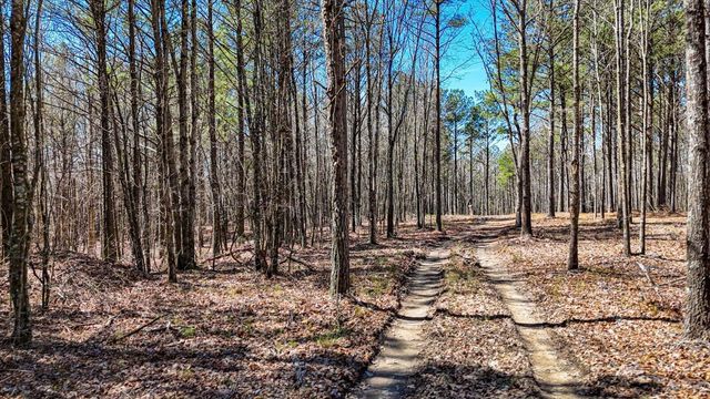 0 Slow Time Street, Guild, TN 37340