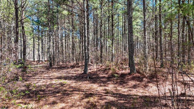 0 Slow Time Street, Guild, TN 37340