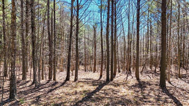 0 Slow Time Street, Guild, TN 37340