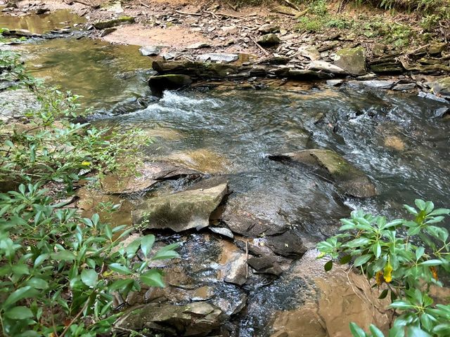 396 Mt. Springer Road, Ellijay, GA 30540