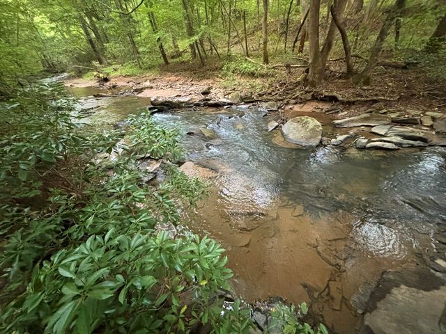 396 Mt. Springer Road, Ellijay, GA 30540