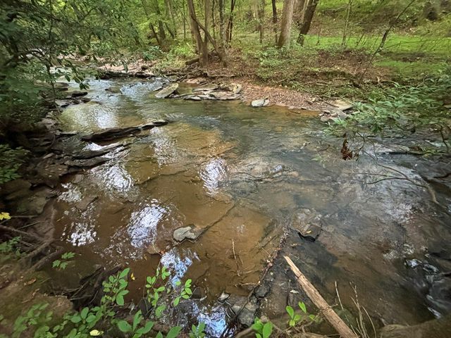 396 Mt. Springer Road, Ellijay, GA 30540