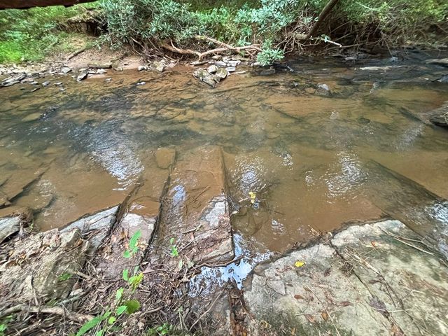 396 Mt. Springer Road, Ellijay, GA 30540