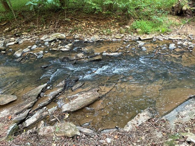 396 Mt. Springer Road, Ellijay, GA 30540