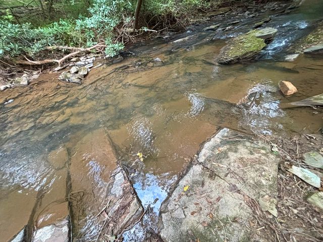 396 Mt. Springer Road, Ellijay, GA 30540