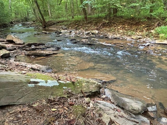 396 Mt. Springer Road, Ellijay, GA 30540