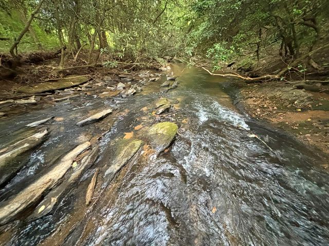 396 Mt. Springer Road, Ellijay, GA 30540