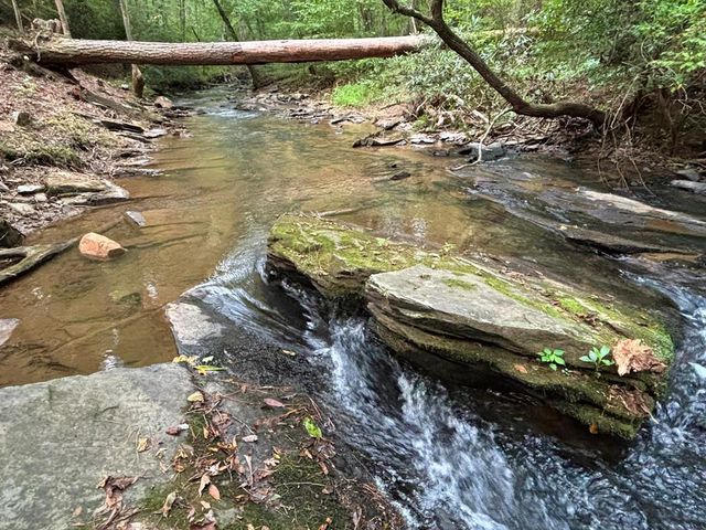396 Mt. Springer Road, Ellijay, GA 30540