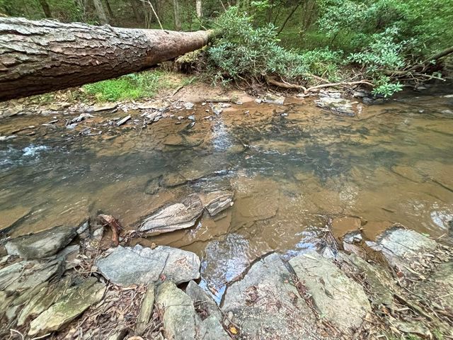 396 Mt. Springer Road, Ellijay, GA 30540