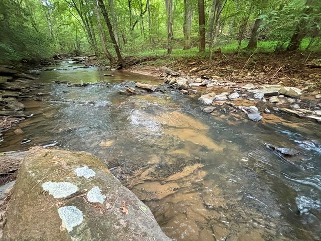 396 Mt. Springer Road, Ellijay, GA 30540
