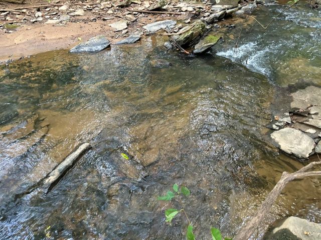 396 Mt. Springer Road, Ellijay, GA 30540
