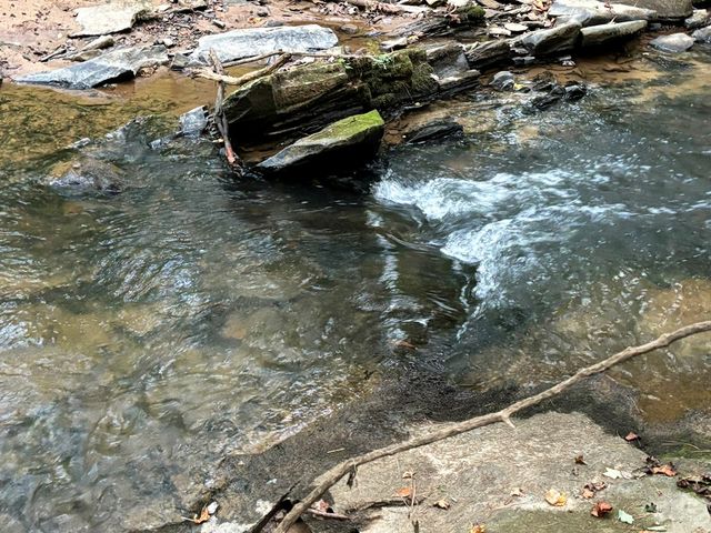 396 Mt. Springer Road, Ellijay, GA 30540