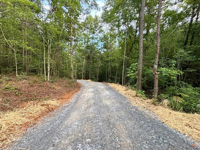 396 Mt. Springer Road, Ellijay, GA 30540