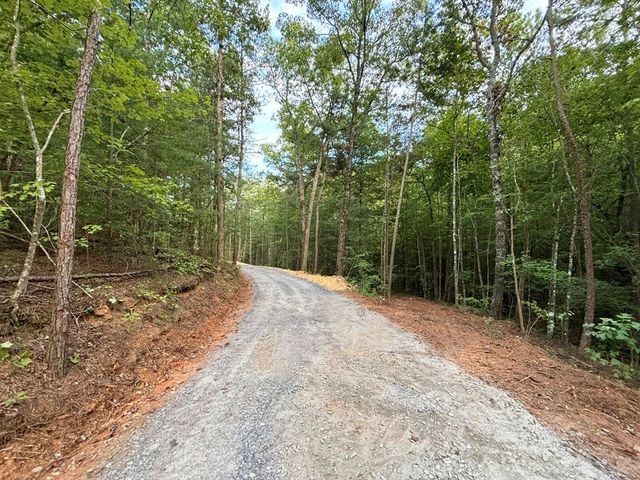 396 Mt. Springer Road, Ellijay, GA 30540